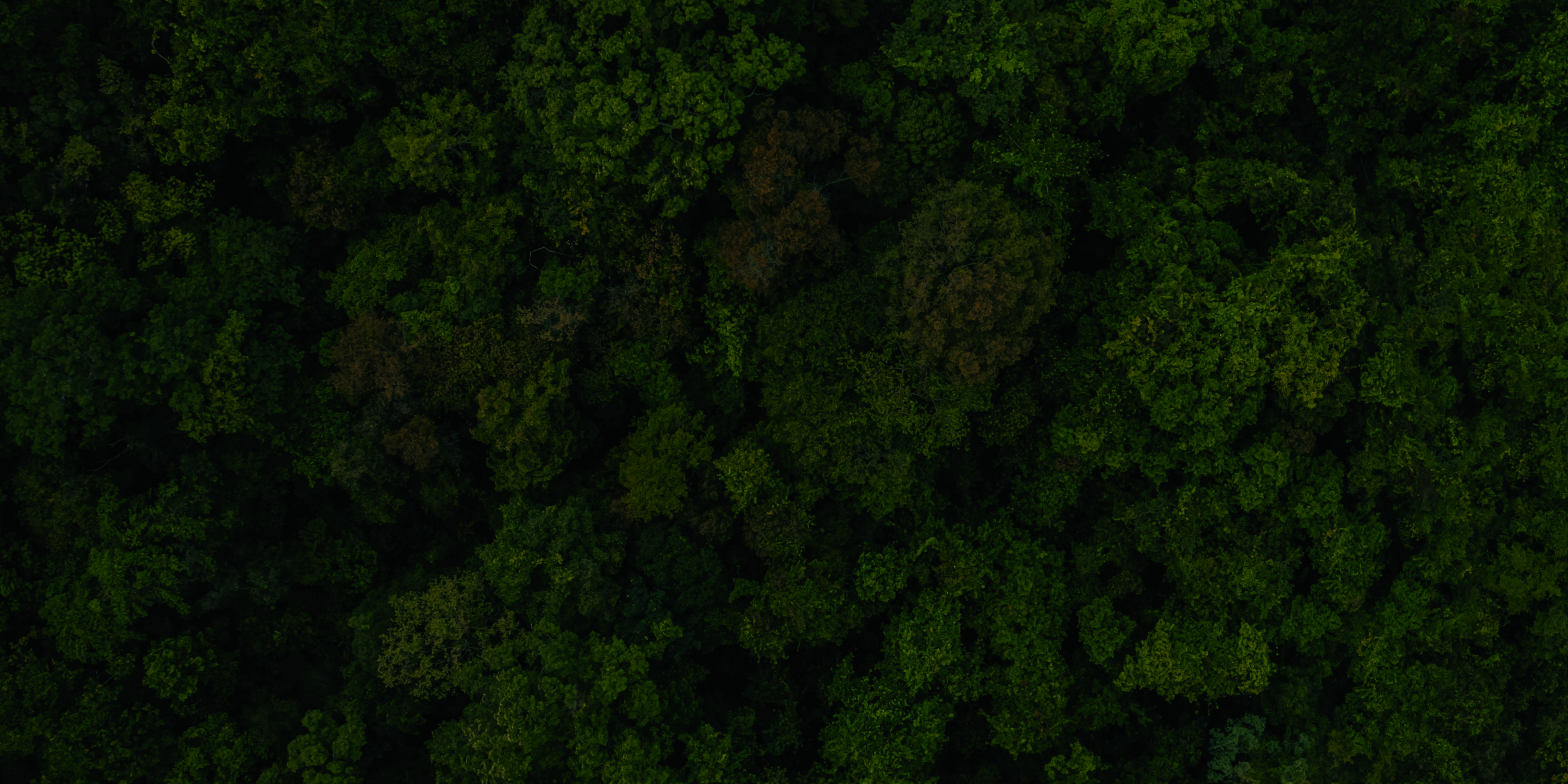 Hillscape — The Mountain Life Farm